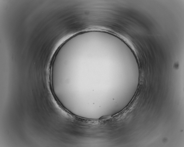 X0000099421003200805301403