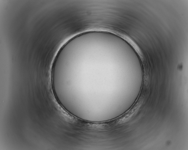 X0000099421004200805301403