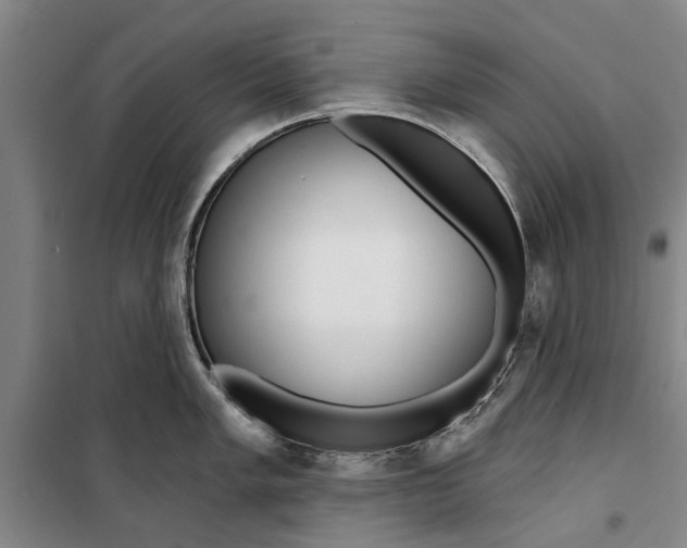 X0000099421005200805301403