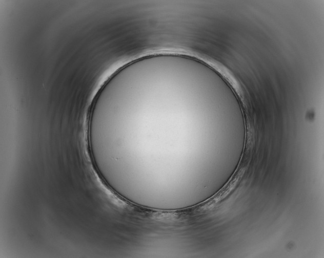 X0000099421006200805301403