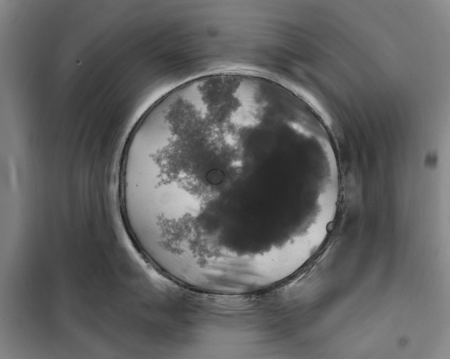 X0000099421007200805301403