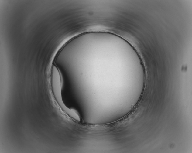 X0000099421008200805301403