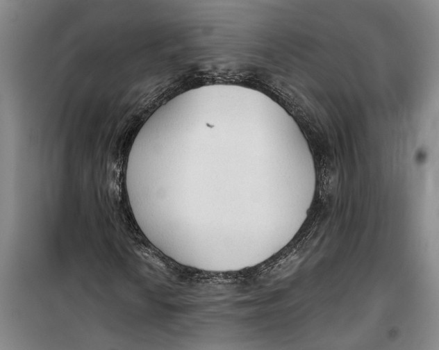 X0000099421010200805301402