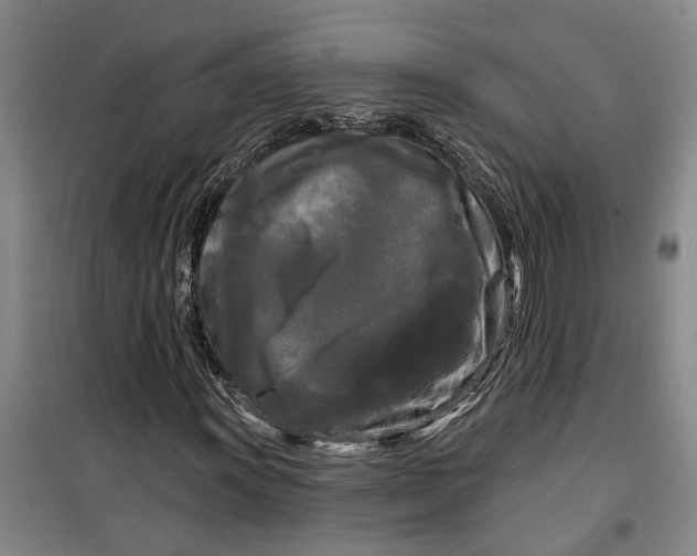 X0000099421011200805301402