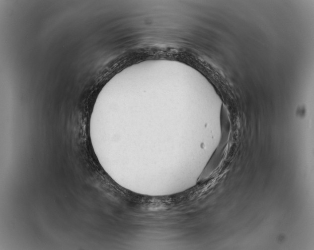 X0000099421013200805301402