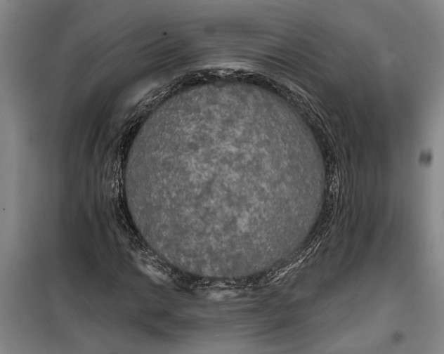 X0000099421014200805301402