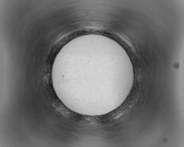 X0000099421015200805301402