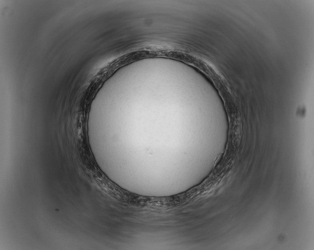 X0000099421016200805301402