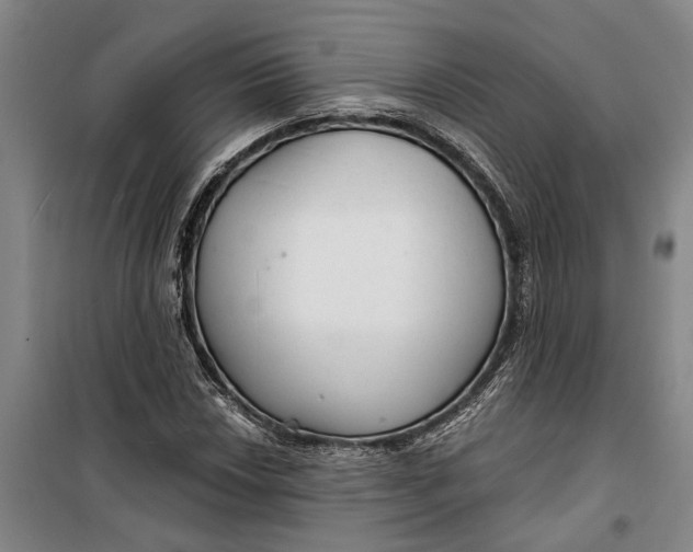 X0000099421018200805301402