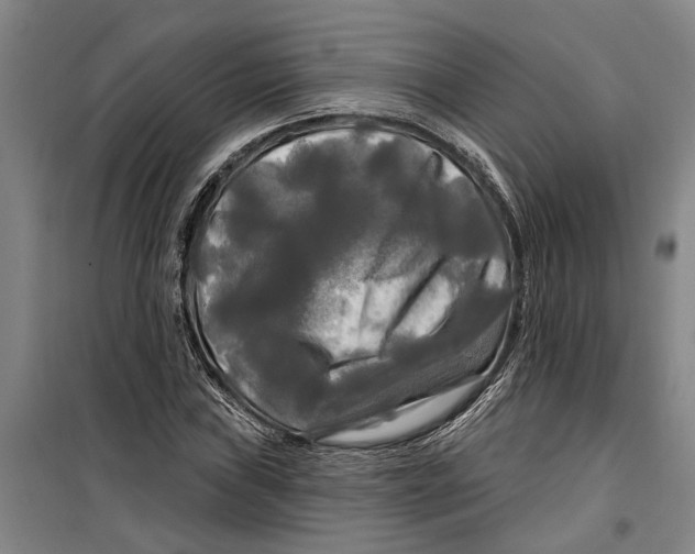 X0000099421019200805301402