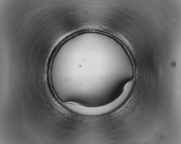 X0000099421020200805301402