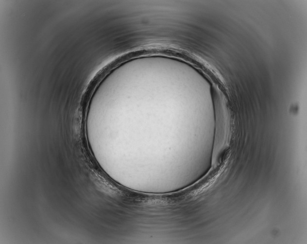 X0000099421021200805301402