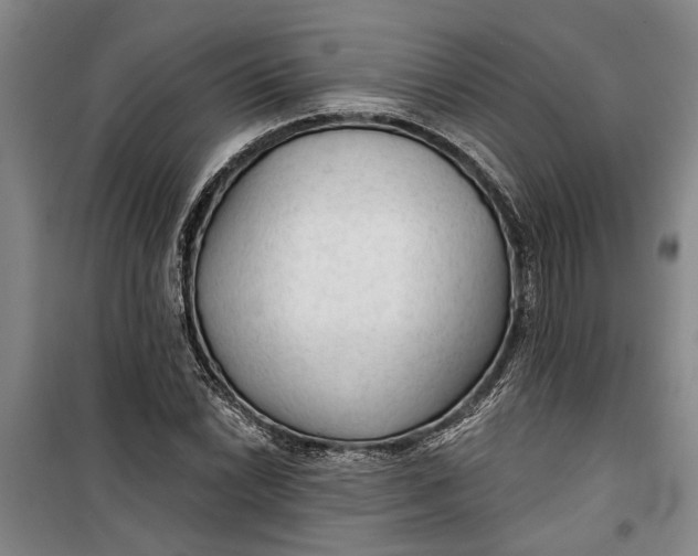 X0000099421022200805301402