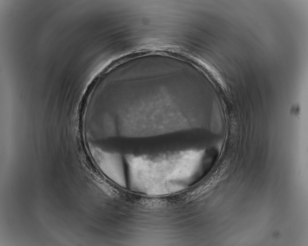 X0000099421023200805301402