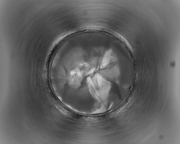 X0000099421027200805301402