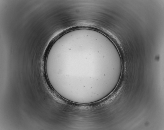 X0000099421029200805301402