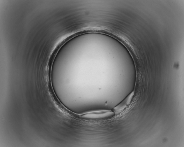 X0000099421030200805301402