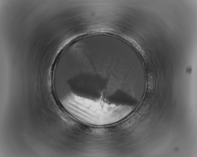 X0000099421031200805301402