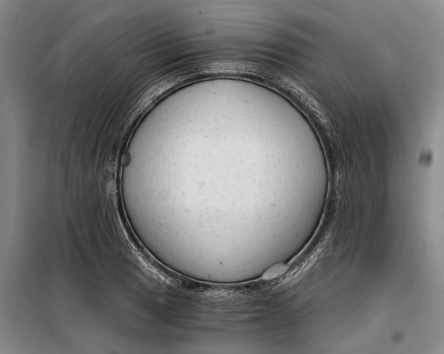 X0000099421033200805301402