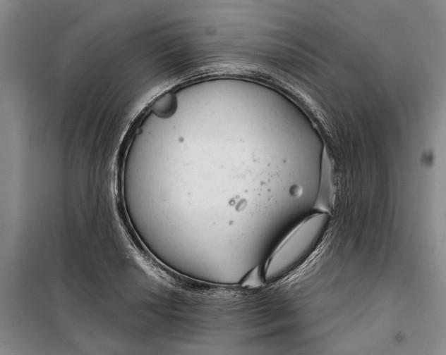 X0000099421034200805301402