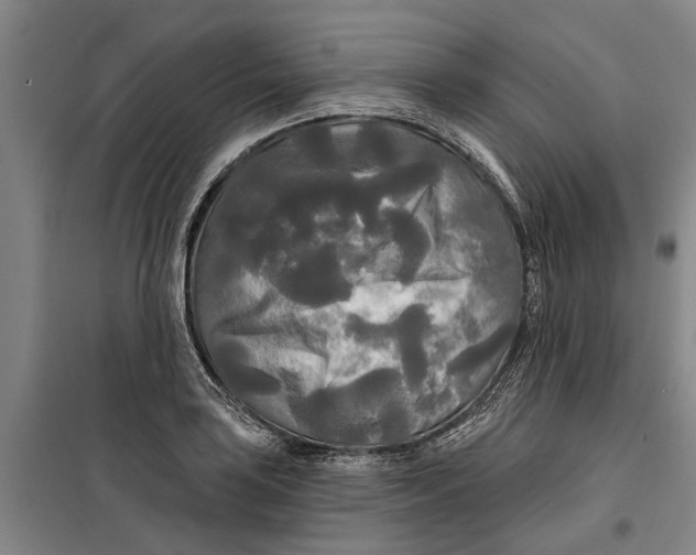 X0000099421035200805301402