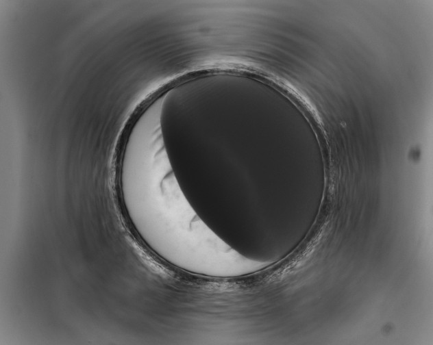 X0000099421037200805301403