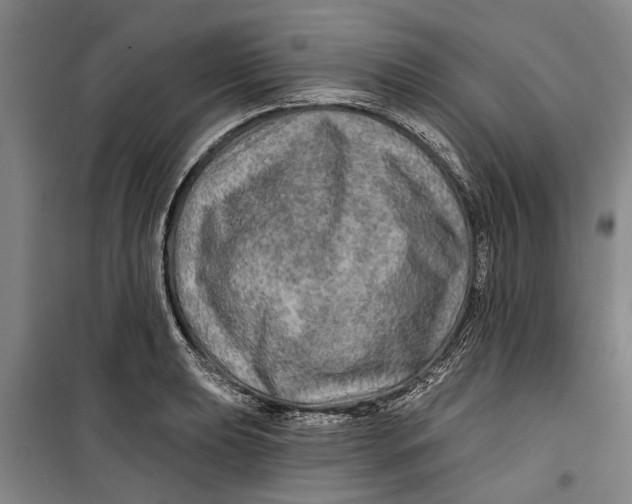 X0000099421039200805301403