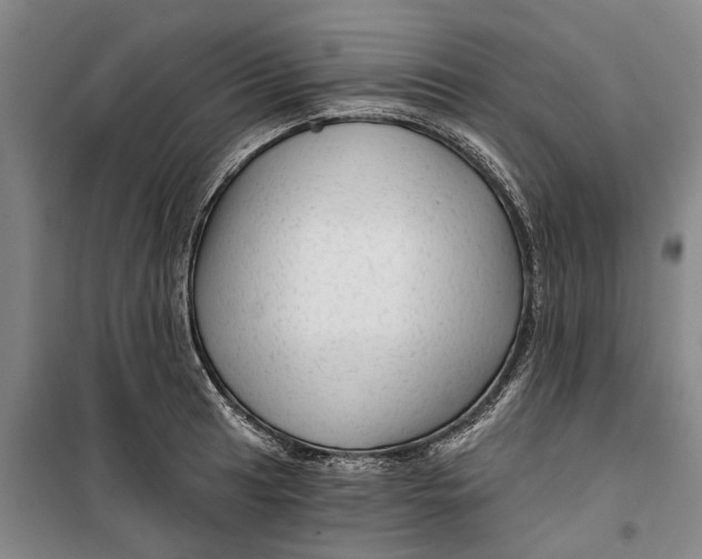 X0000099421041200805301403