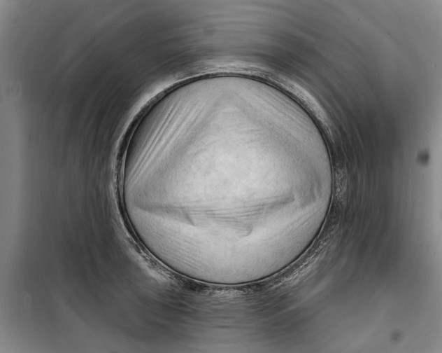 X0000099421043200805301403