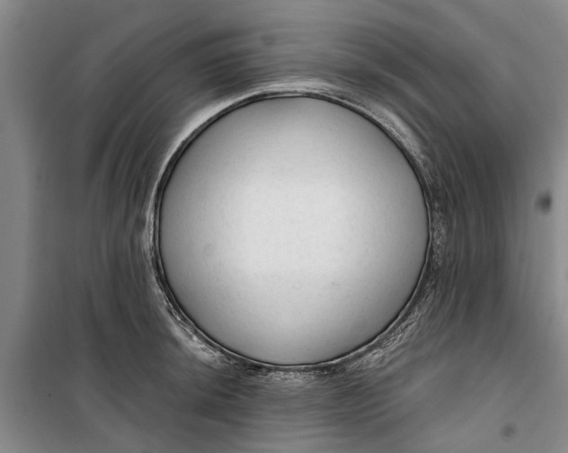 X0000099421044200805301403