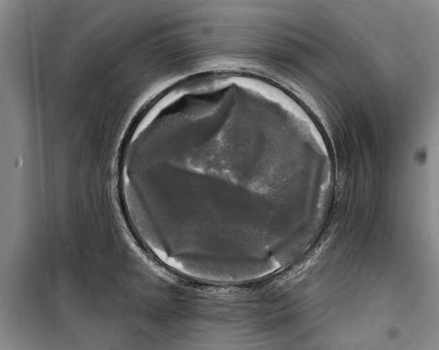 X0000099421045200805301403