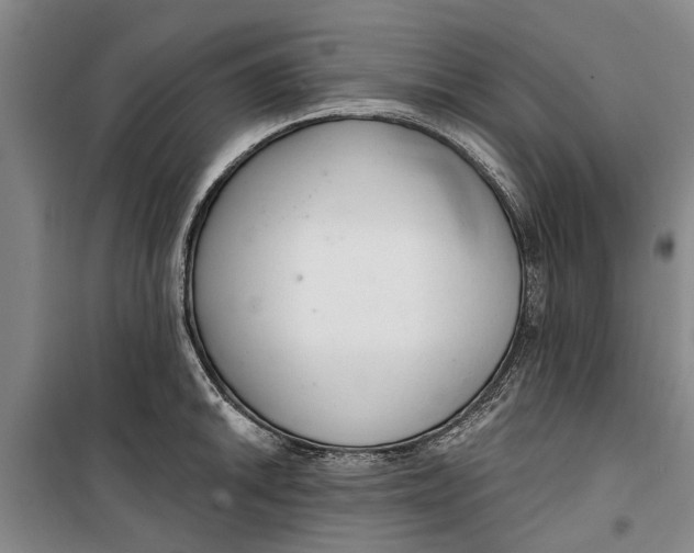 X0000099421046200805301403