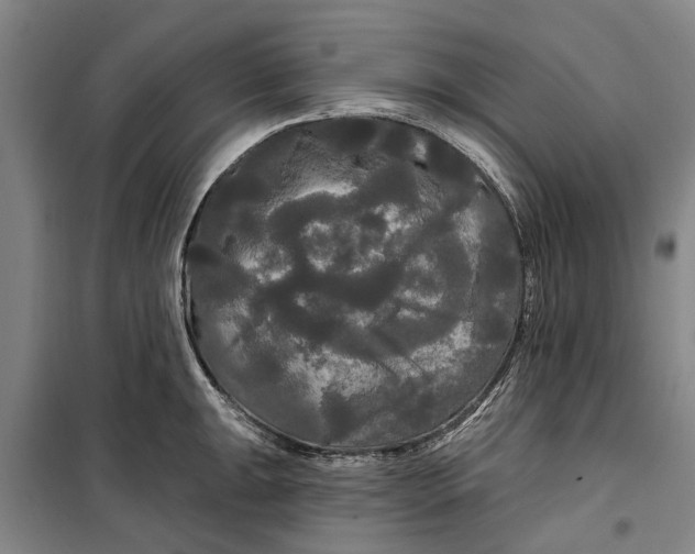 X0000099421047200805301403