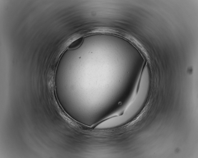 X0000099421049200805301403