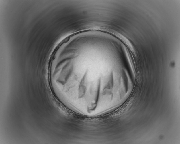 X0000099421051200805301403