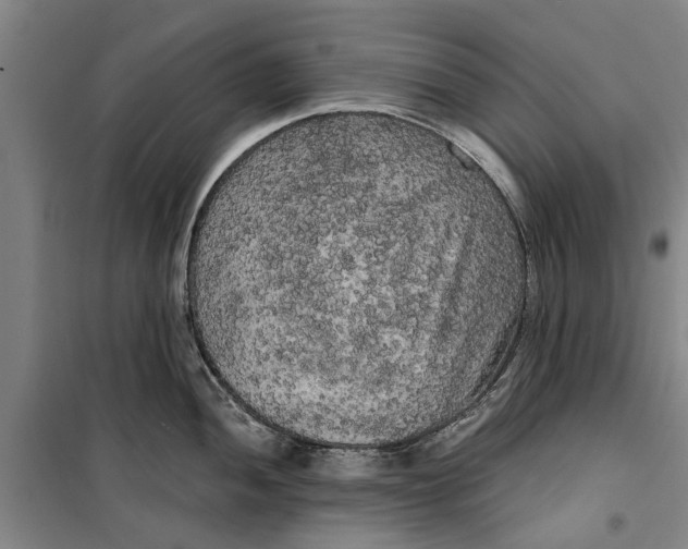 X0000099421052200805301403