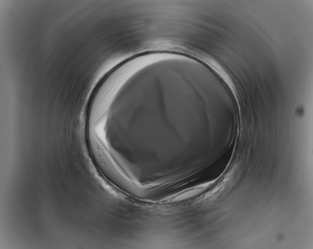 X0000099421053200805301403