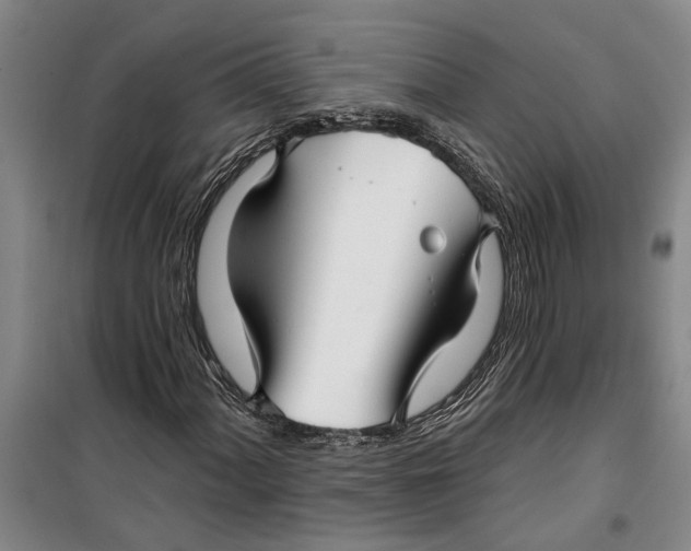 X0000099421060200805301402