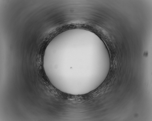 X0000099421062200805301402