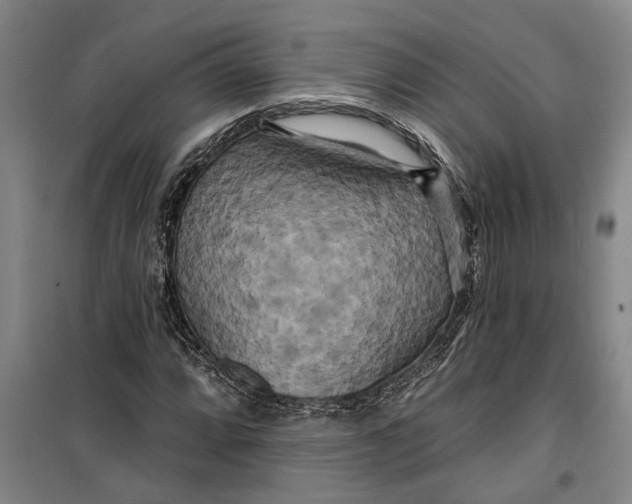 X0000099421064200805301402