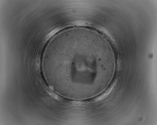 X0000099421065200805301402