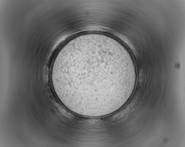 X0000099421067200805301402