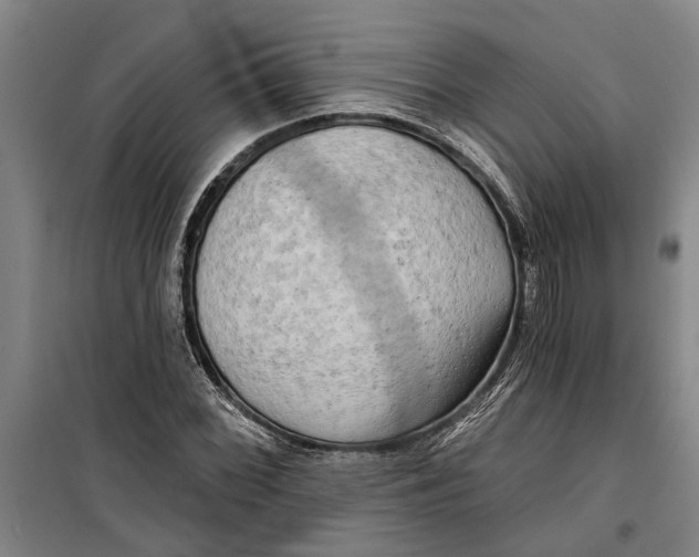 X0000099421068200805301402