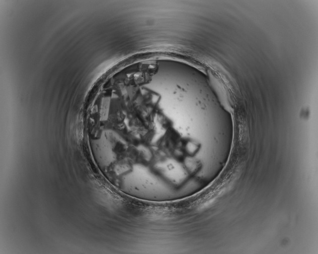 X0000099421069200805301402