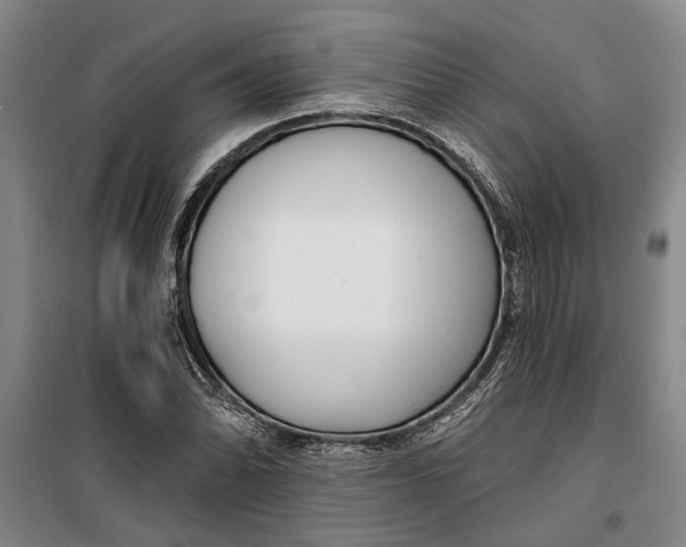 X0000099421070200805301402