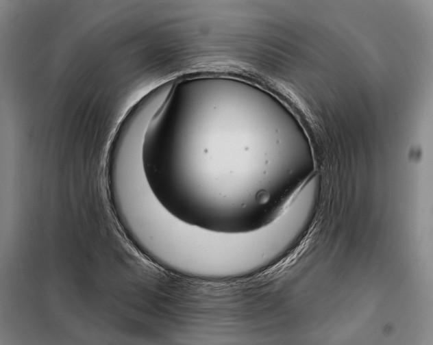 X0000099421071200805301402