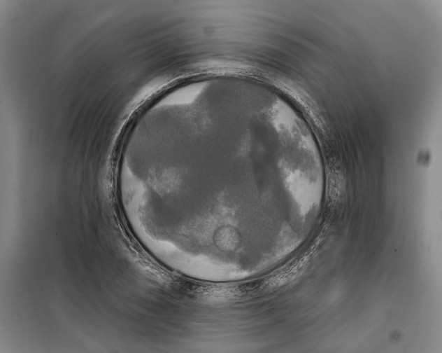 X0000099421074200805301402