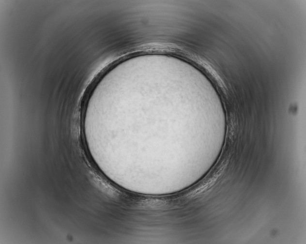 X0000099421075200805301402