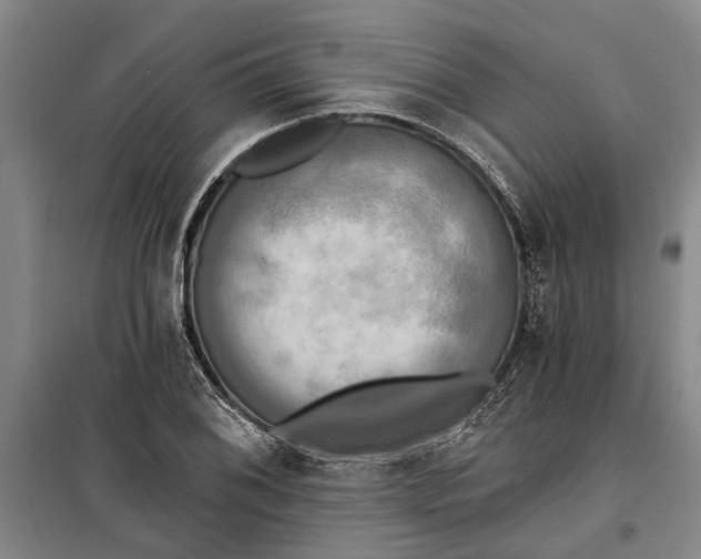 X0000099421076200805301402