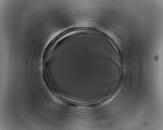 X0000099421077200805301402